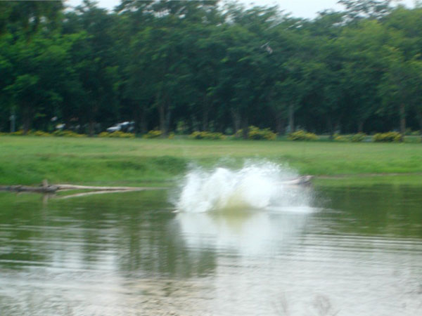 T042