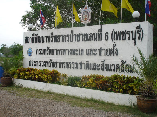 DSC05928