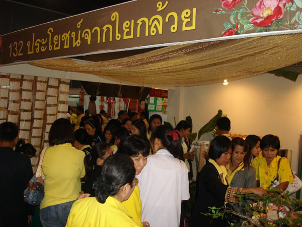 DSC03230