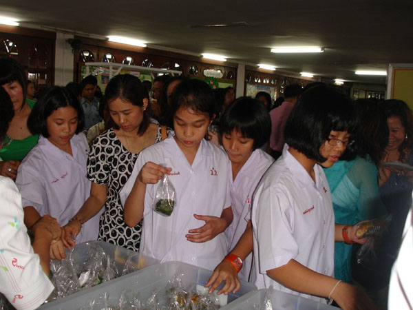 DSC06230