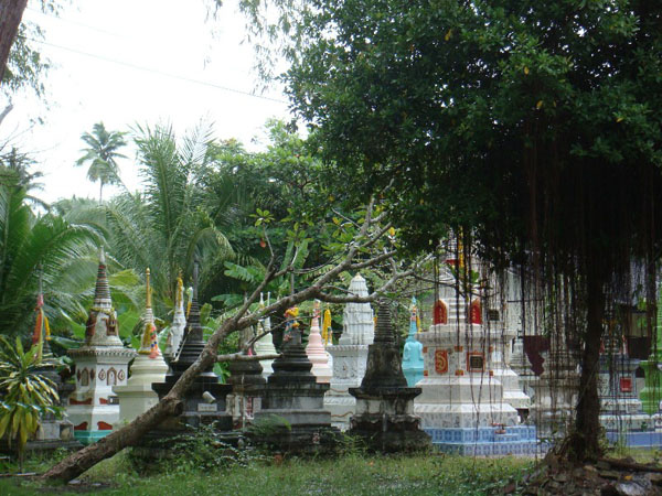DSC01198