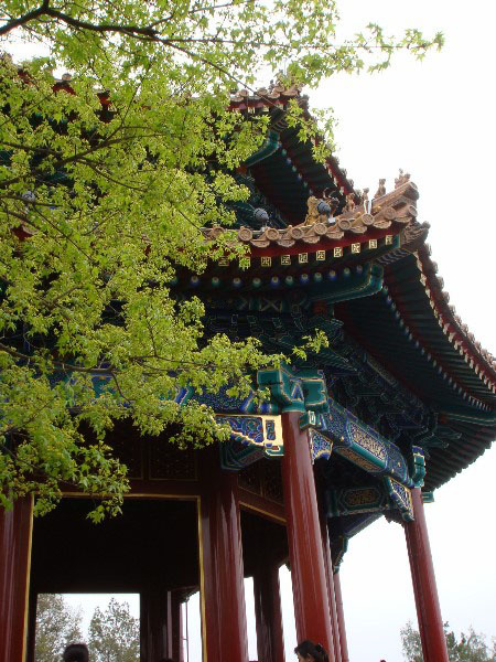 DSC00976