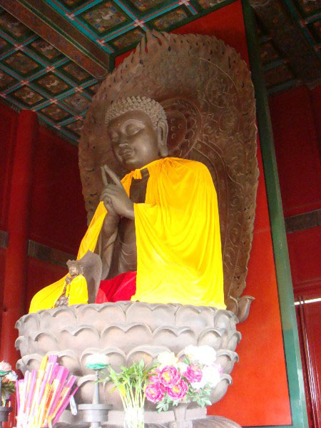 DSC00982