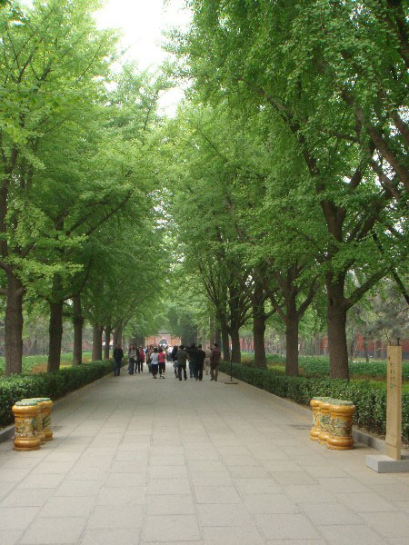DSC01028