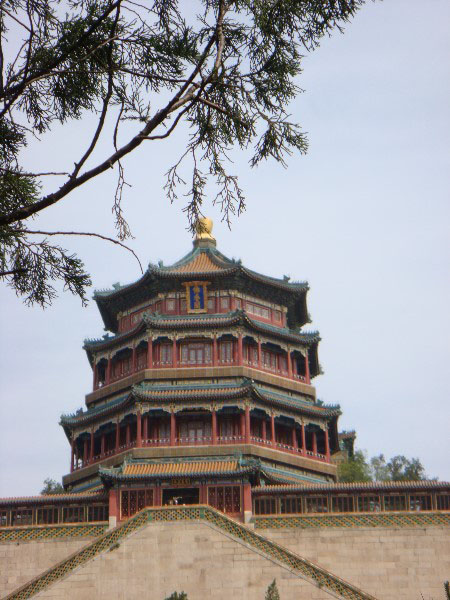 DSC01113