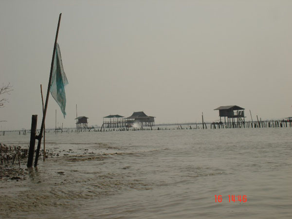 DSC01838