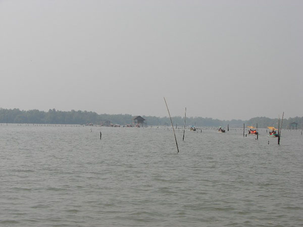 DSC09801