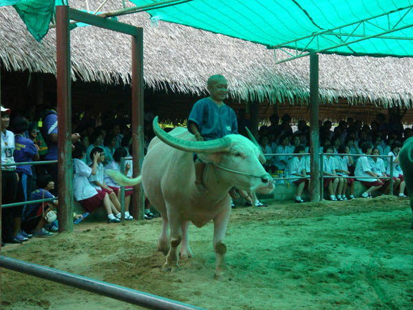 DSC00587