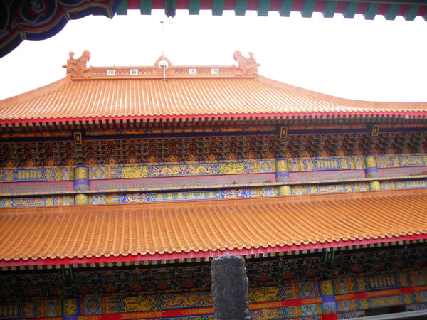 DSCN3128