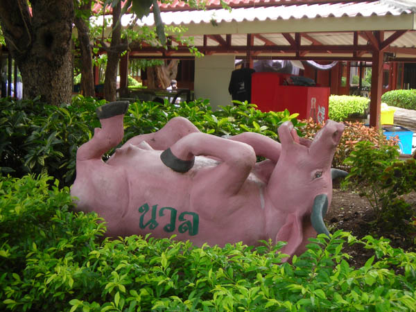 DSCN3133