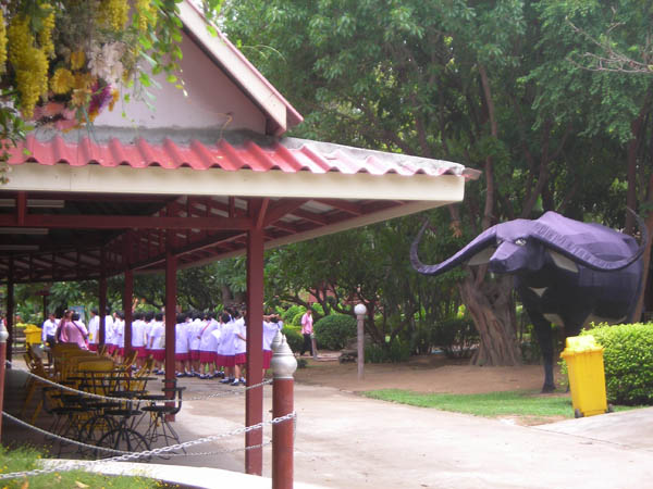 DSCN3139