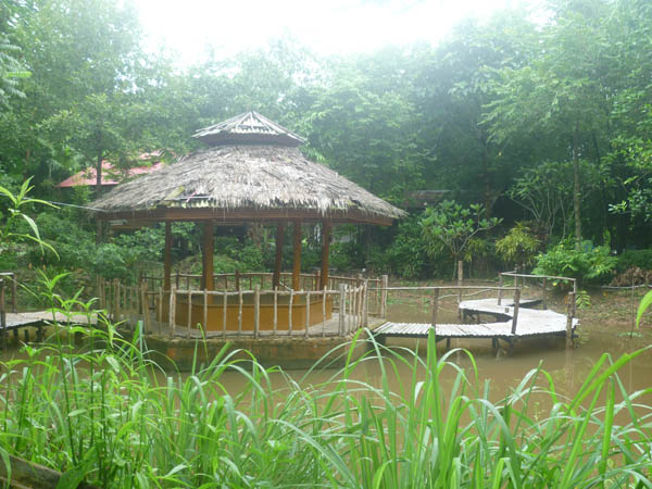 P1010135