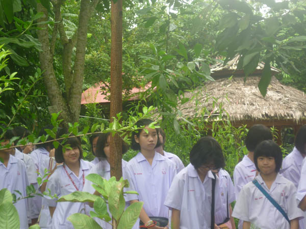 P1010141