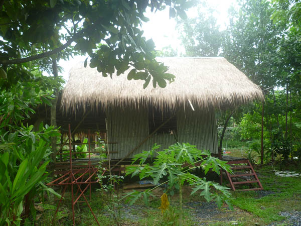 P1010161
