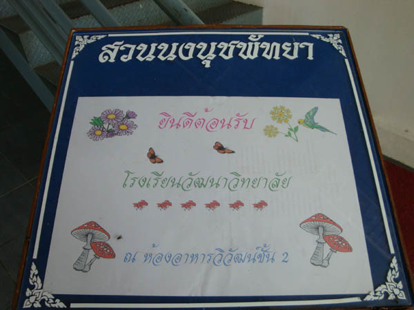 DSC07752