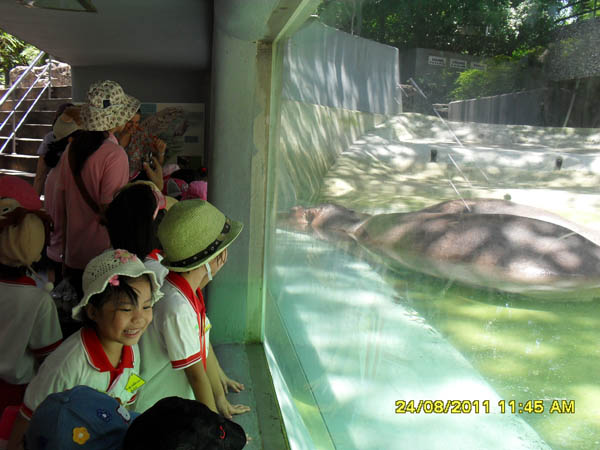 SDC14626