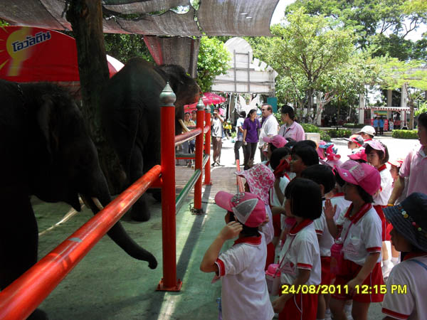 SDC14697