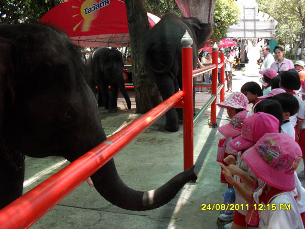 SDC14698
