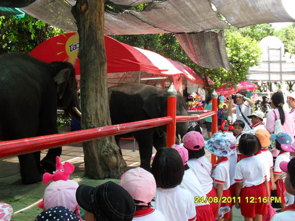 SDC14707