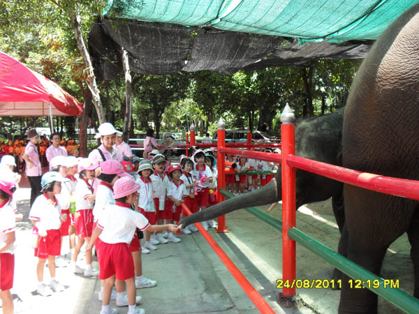 SDC14731