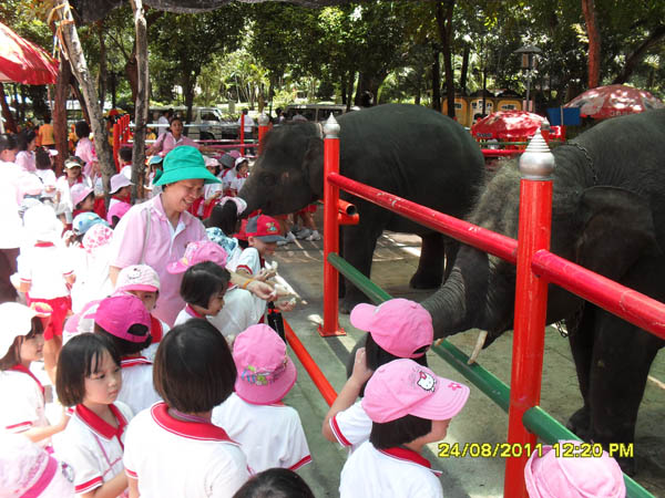 SDC14738