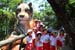 SAM_0387