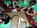 SAM_5028