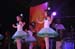 DSC_0001(455)