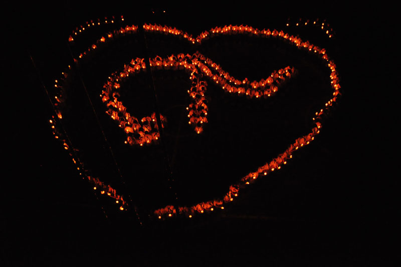 DSC_0136