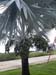 20170929_080538